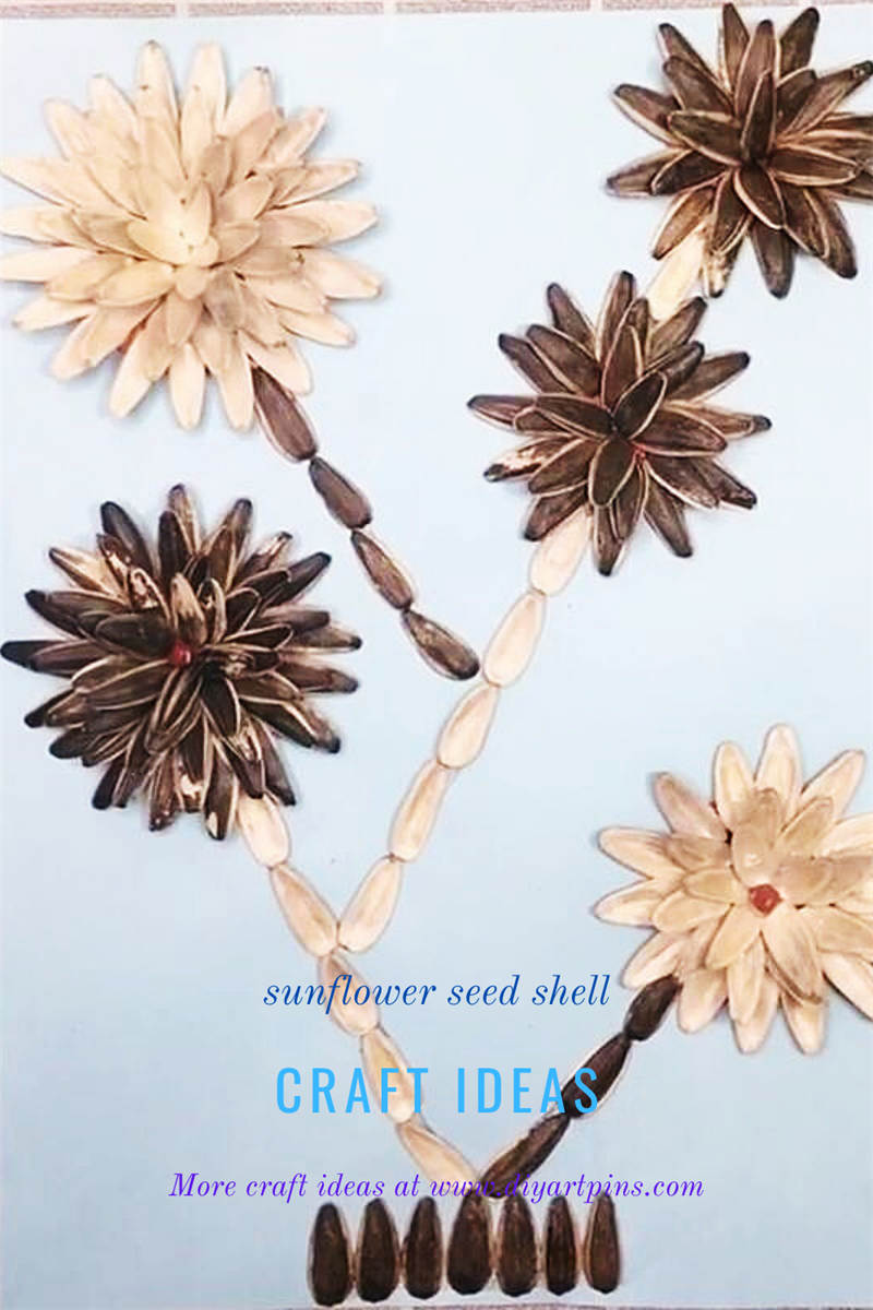 The first sunflower seed shell flowers craft